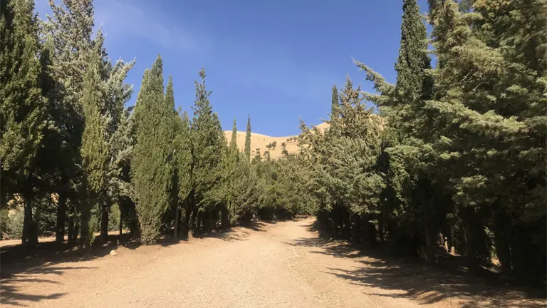 Protecting the Disappearing Forests of Iraq's Kurdistan