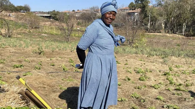 Hout Bay Welcomes a New Food Forest!