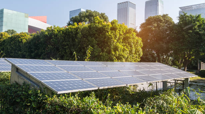 Solar panels installed in a green urban park, with lush trees and bushes in the foreground. 