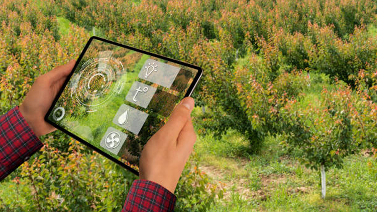 Integrating Smart Technology in Modern Forest Management