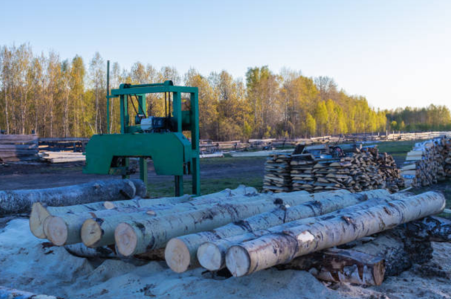 A log processing machine at a timber yard, preparing raw logs for further processing, highlighting the initial stage of converting harvested timber into usable forestry products.