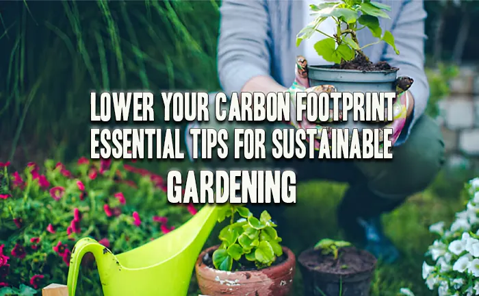 Lower Your Carbon Footprint: Essential Tips for Sustainable Gardening