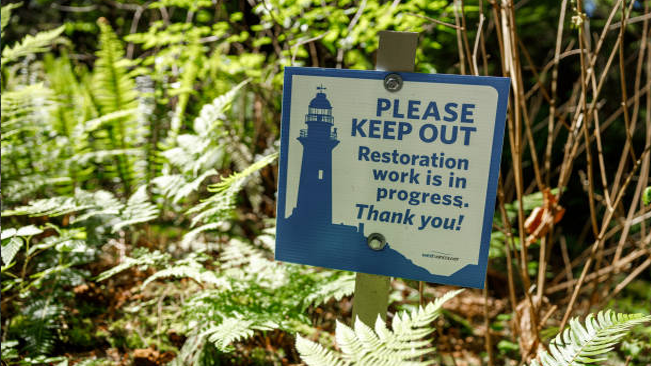 Close-up of a sign reading 'Please Keep Out: Restoration work is in progress. Thank you!' set amidst lush ferns, emphasizing ongoing environmental restoration efforts.