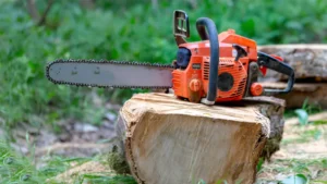 Professional chainsaw on a sawn tree in the forest