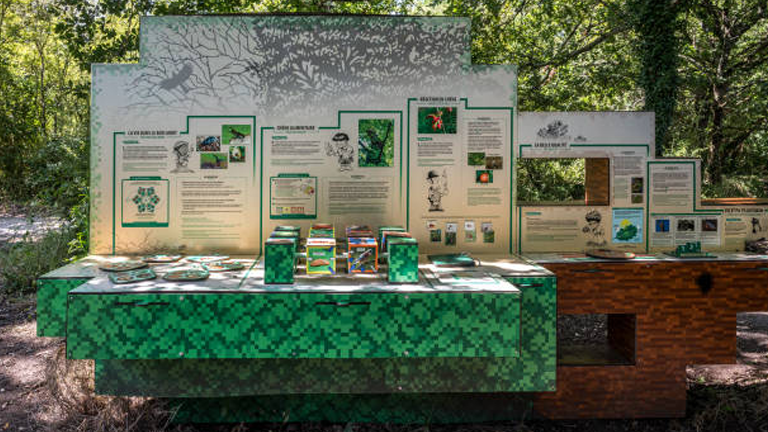 Public Awareness and Education in Forest Management