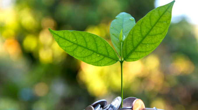 A small green plant with vibrant leaves grows out of a pile of coins, symbolizing the concept of economic growth and sustainability.