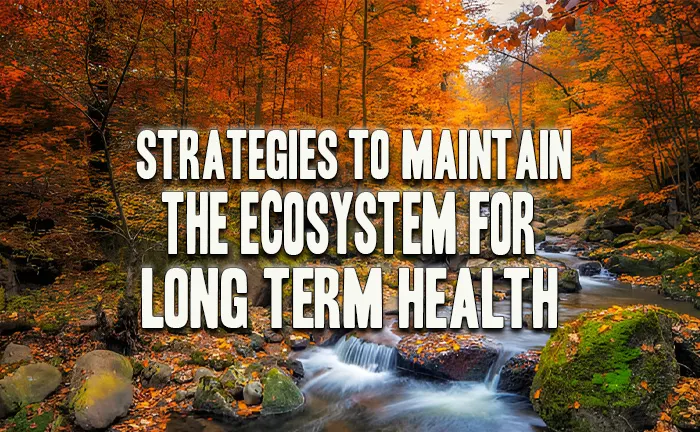 Strategies to Maintain the Ecosystems for Long-Term Health