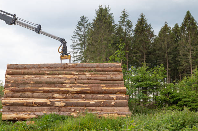 A mechanical arm stacks large logs in a pile at the edge of a forest, with tall pine trees in the background, indicating timber harvesting or logging operations.