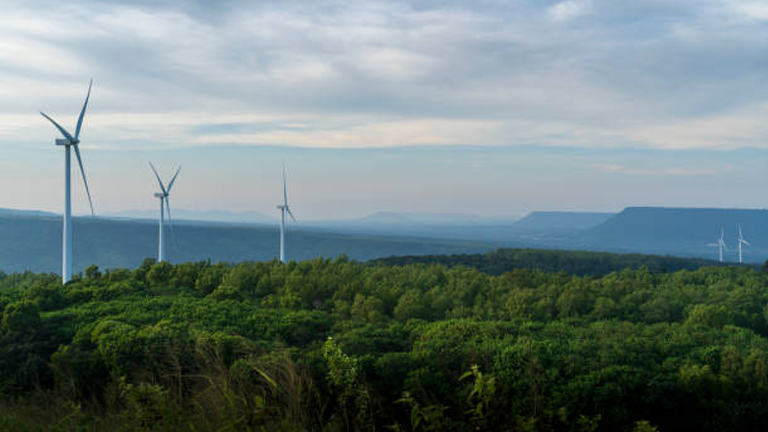 The Role of Technology in Modern Forest Management