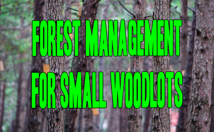 Forest Management for Small Woodlots