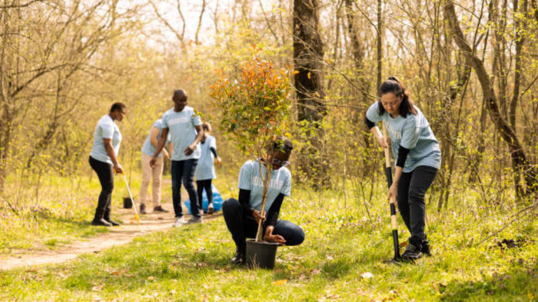 Engaging Communities in Urban Forest Stewardship