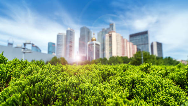 Managing Urban Forests: Innovative Climate Change Approaches