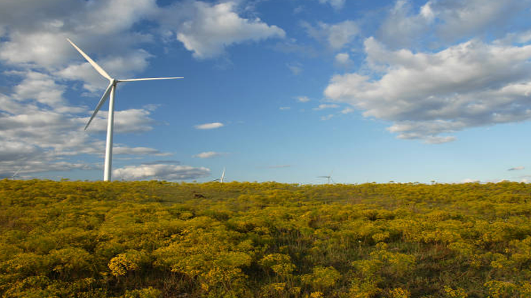 Forest Bioenergy: Mitigating Climate Change Potential