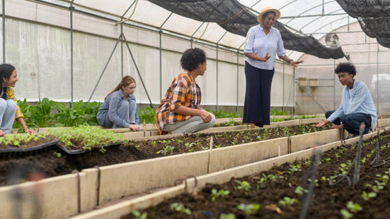  "A group of diverse individuals tends to plants in a greenhouse while listening to a woman in a hat giving instructions. Raised beds with young plants are visible in the foreground."