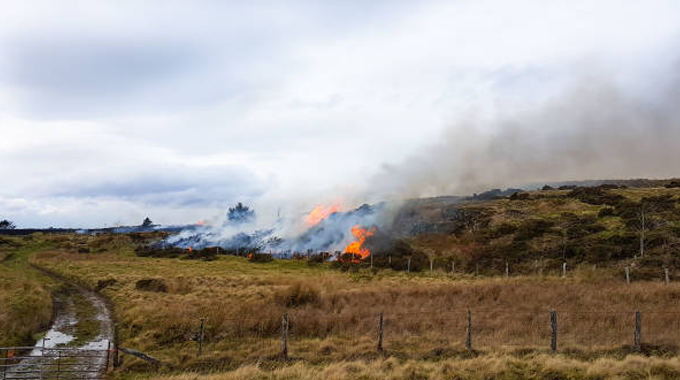 "Landscape view of a grassland fire with visible flames and smoke, surrounded by fields and a fence in the foreground."