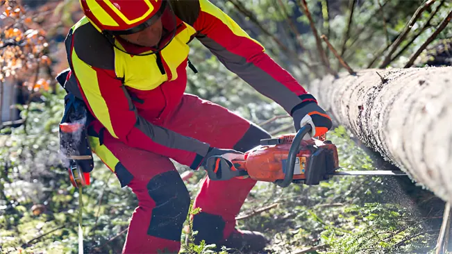 Worker felling the tree with chainsaw