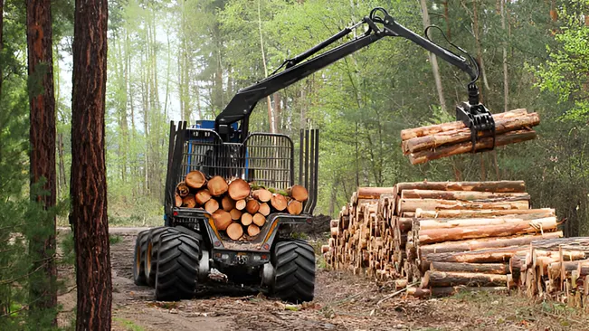 Sustainable Timber Harvesting. Harvesting Techniques