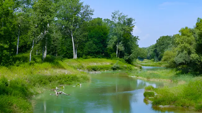 Ecosystem Services. Water Filtration