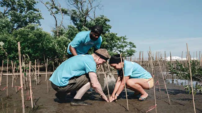 Ecological Balance. Ecosystem Restoration