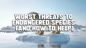 Worst Threats to Endangered Species (and How to Help)