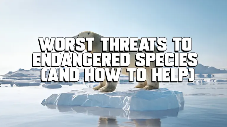 Worst Threats to Endangered Species (and How to Help)