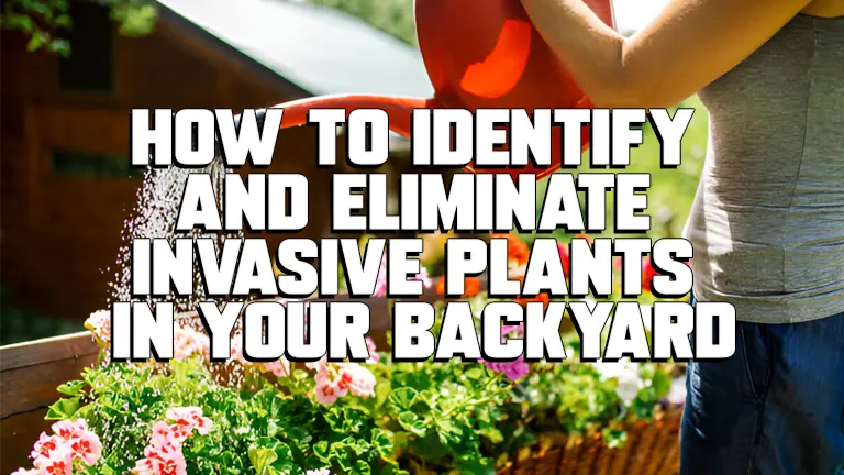 How to Identify and Eliminate Invasive Plants in Your Backyard