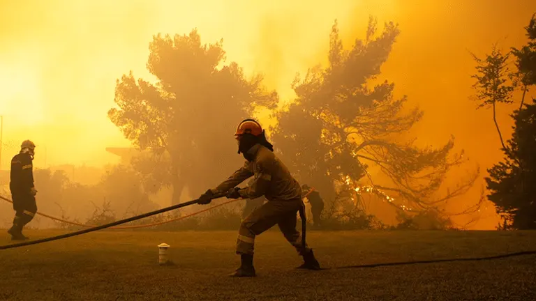 Forest Fire Breaks Out Near Athens, Leading to Quick Evacuations and Community Support