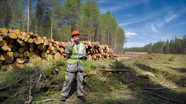 Is Forestry a Good Career Choice?