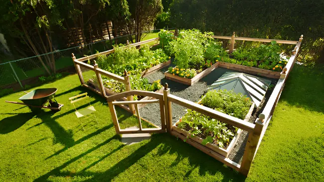 Vegetable Garden