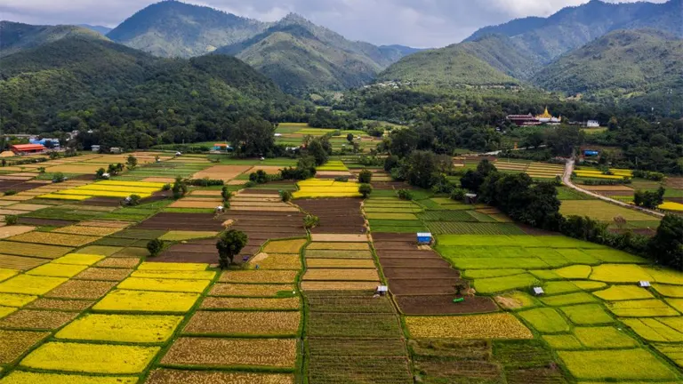 Aerial view of cultivated fields and forests, highlighting the balance between agriculture and sustainable forest management.