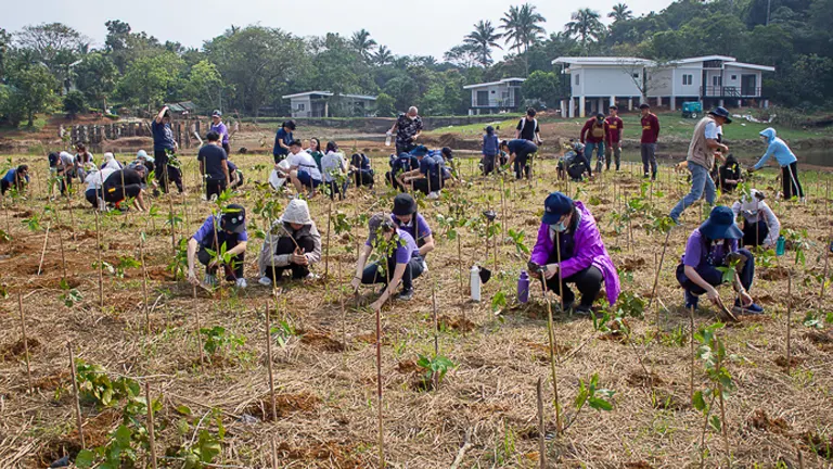 Large group of volunteers planting saplings in an open field during a tree planting activity.