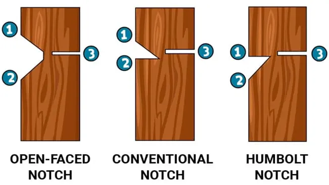 Image showing three types of tree notches for safe felling: Open-faced, Conventional, and Humboldt, each labeled with cut positions.
