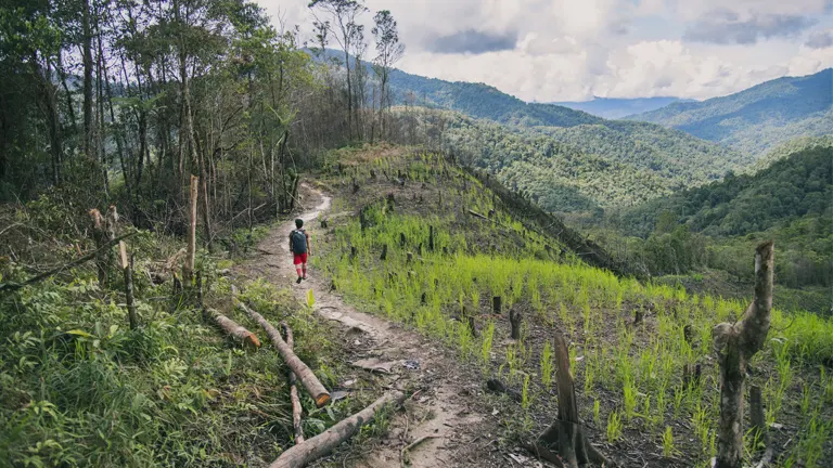 Person walking on a path through a reforested area in a mountainous landscape, highlighting nature restoration benefits.