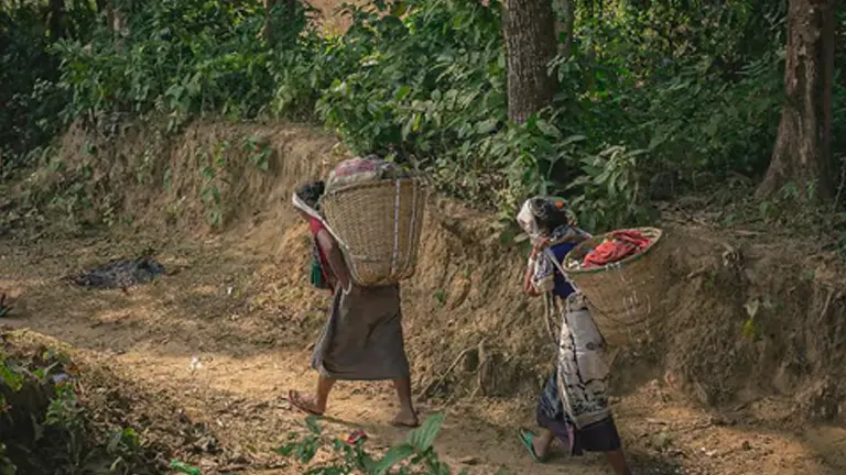 Two people walking through a forest carrying large baskets, representing community involvement in forest-based enterprises through the collection of forest products.