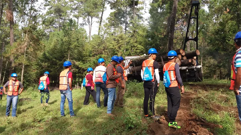 Group of people wearing safety vests and helmets observing timber loading in a forest setting during a forest-based enterprise Development of Forest.