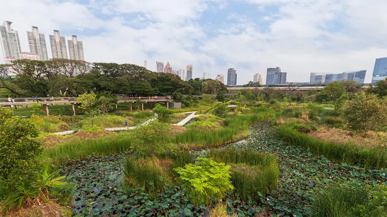 Urban wetland surrounded by greenery with city skyscrapers in the background, highlighting integration of natural ecosystems with urban development for sustainable forest-based enterprises.