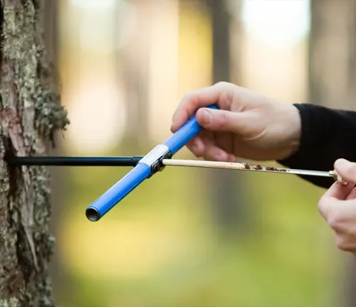 Person using an increment borer to assess tree health by extracting a core sample from a tree trunk.