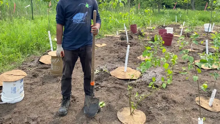 Person with a shovel standing in a newly planted area, illustrating the process of nature restoration.