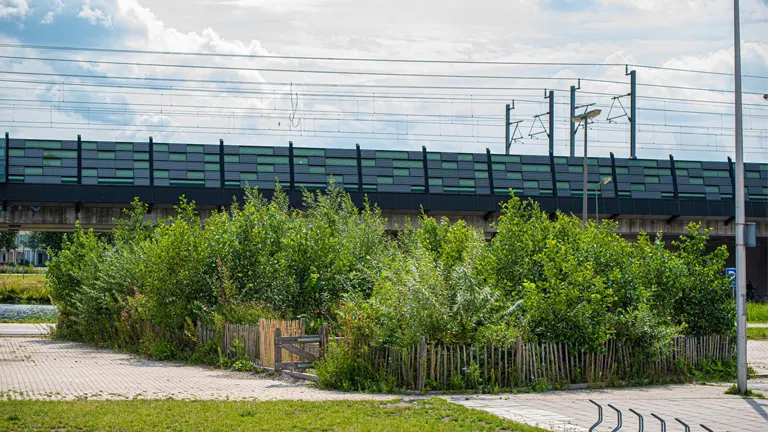 Small urban forest patch fenced in with a railway behind, representing limited forest size and its impact on profitability.