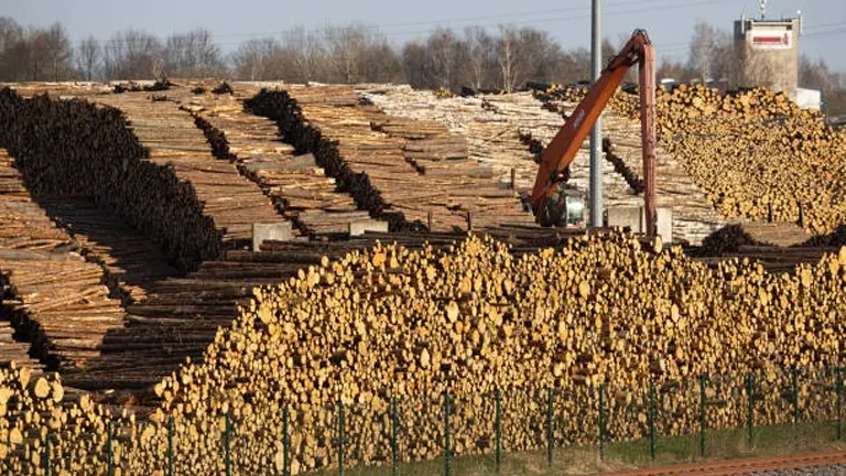 Large stacks of timber logs in a lumberyard, with a crane loading logs, showcasing the scale of production in the forestry industry.