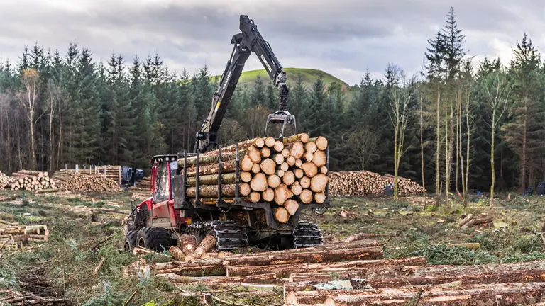 Sustainable Timber in Construction