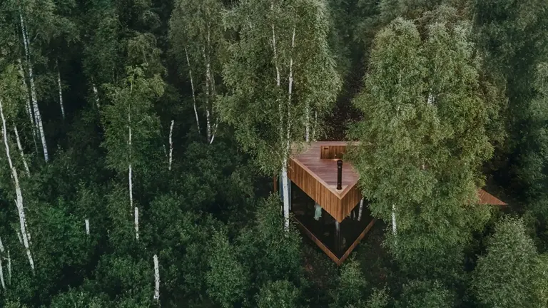 Sustainable timber cabin nestled in a dense forest.