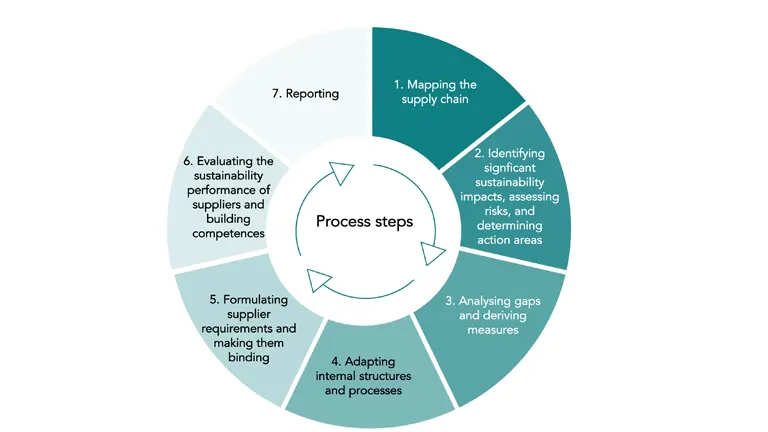 Cycle diagram outlining the process steps for sustainable forest certification in ethical wood sourcing.