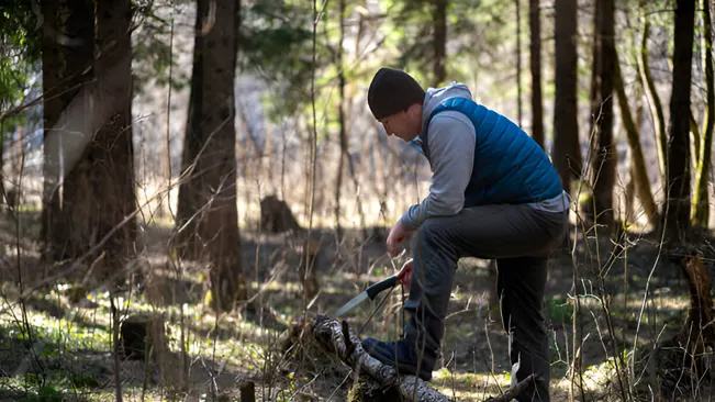 A person cutting wood in a forest, preparing for exotic mushroom farming.
