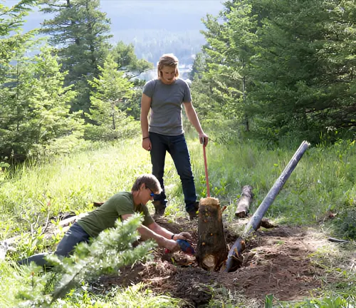 Two people manually digging out a tree stump