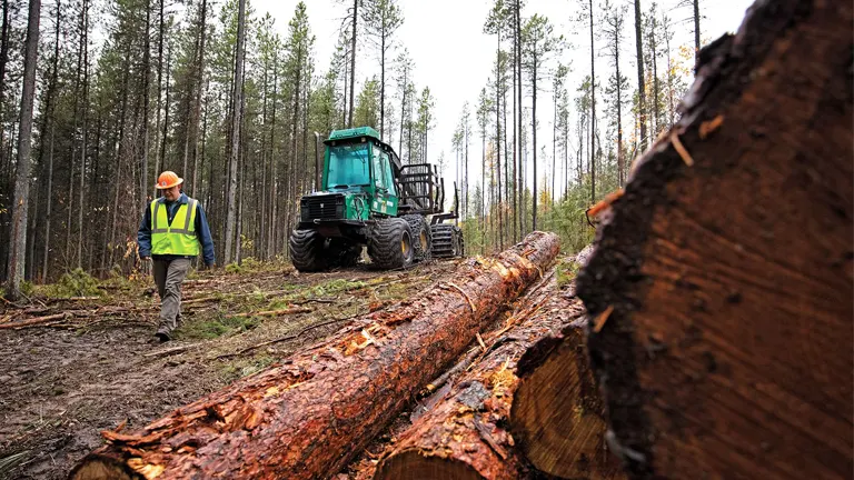 A forestry worker and machinery in a logging area, emphasizing sustainable timber harvesting practices to support industry growth.