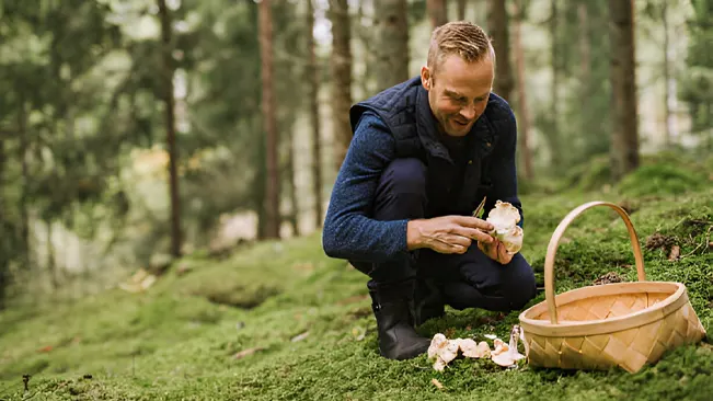 A man harvesting mushrooms in a forest, highlighting the practice of farming exotic mushrooms.