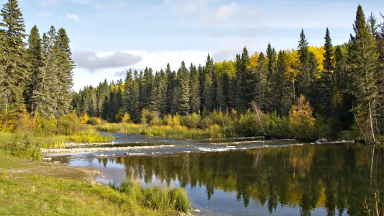 River flowing through a forest, reflecting economic and environmental impacts.