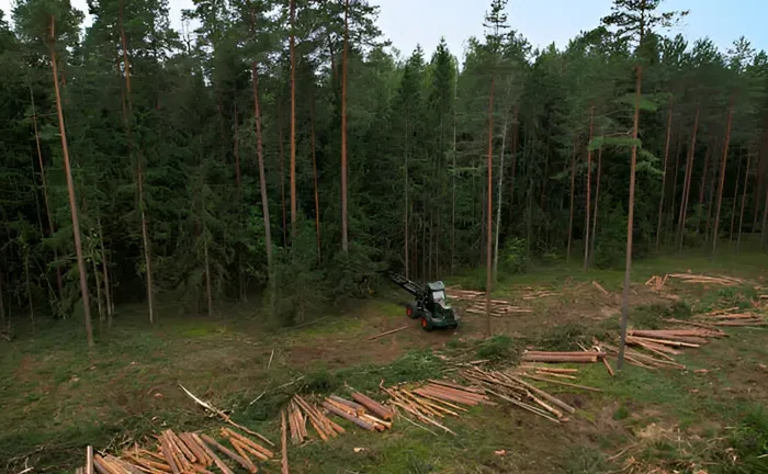 Forest Management for Timber Production: Best Forest Landscape Restoration