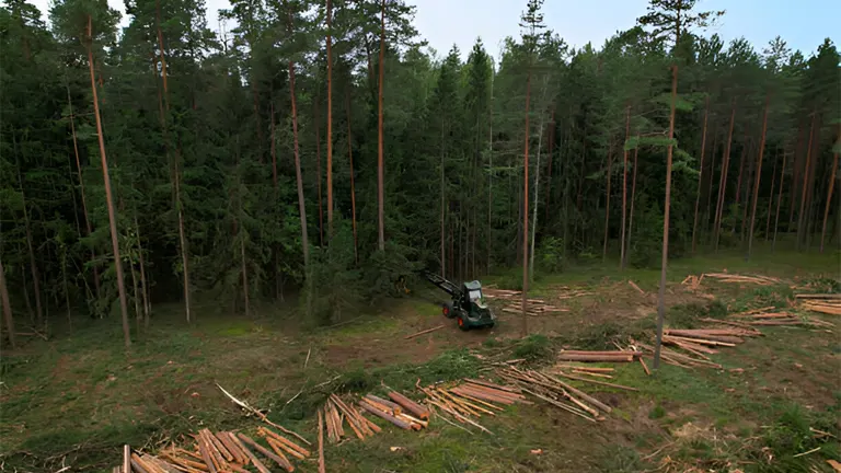 Forest Management for Timber Production: Best Forest Landscape Restoration